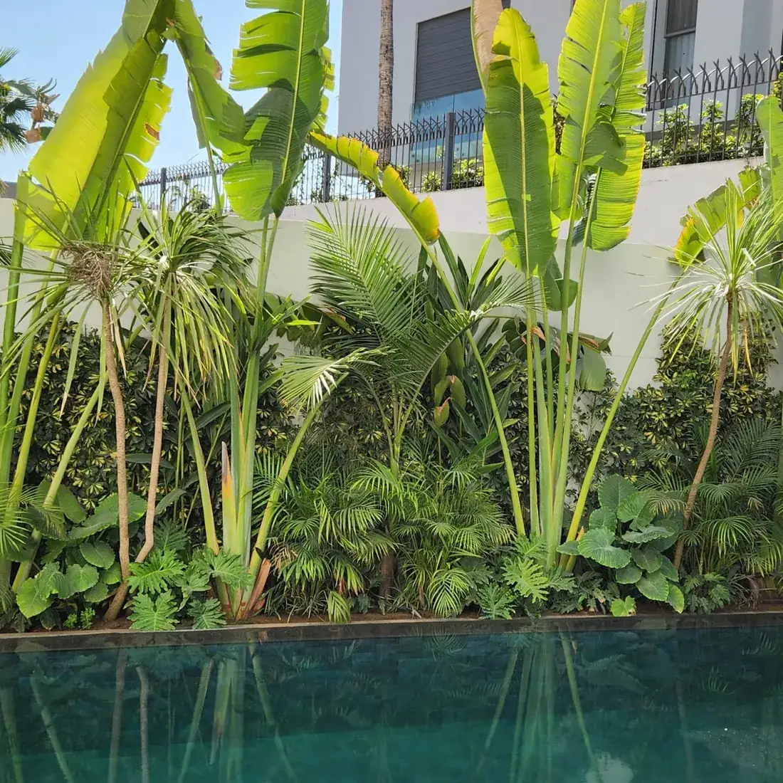 Jardin & piscine